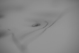 fragile