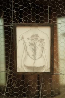 fragile